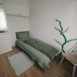 Mimosa