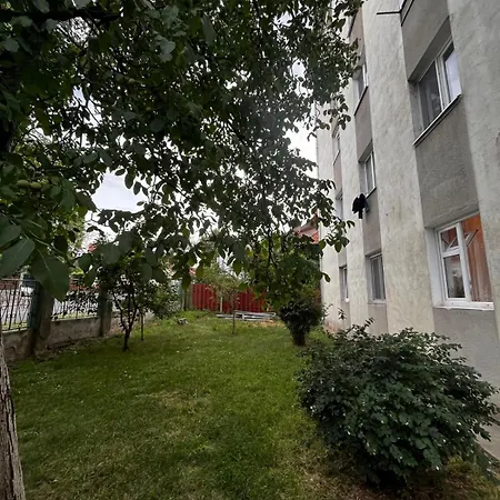 Mimosa 아파트 클루지나포카