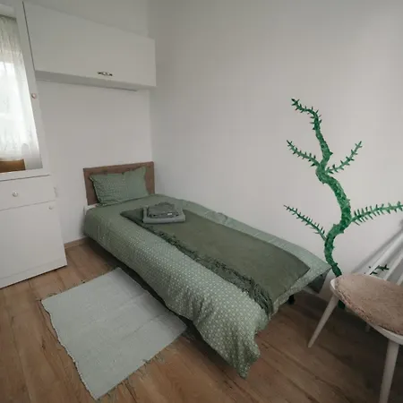 Mimosa