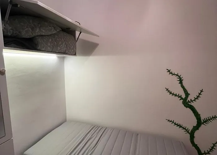 Mimosa Daire Kaloşvar