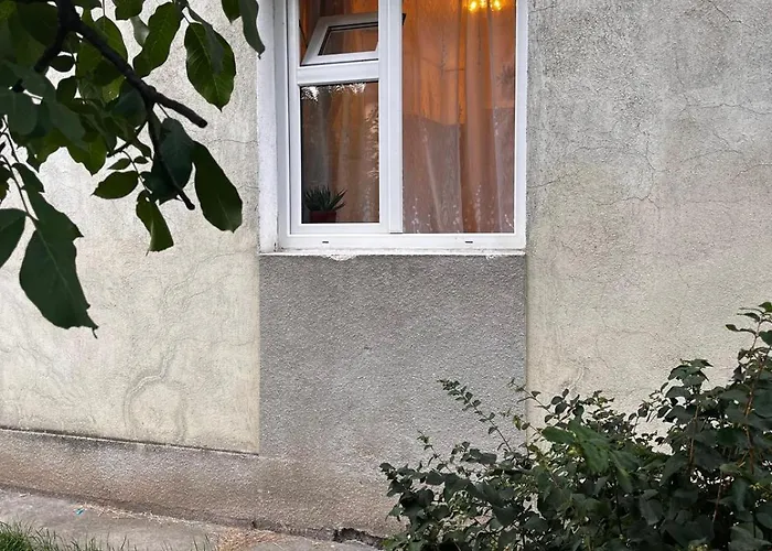 Mimosa Daire Kaloşvar